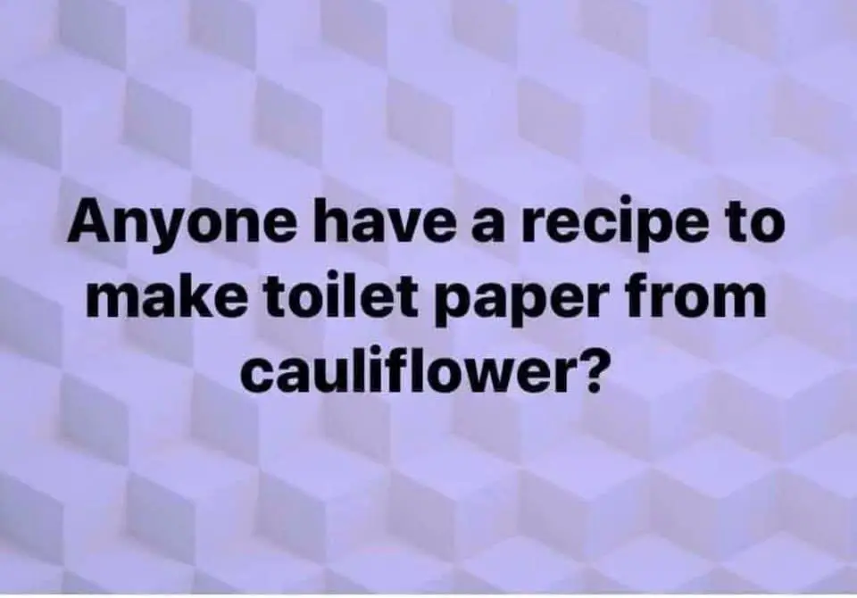 toilet paper shortage